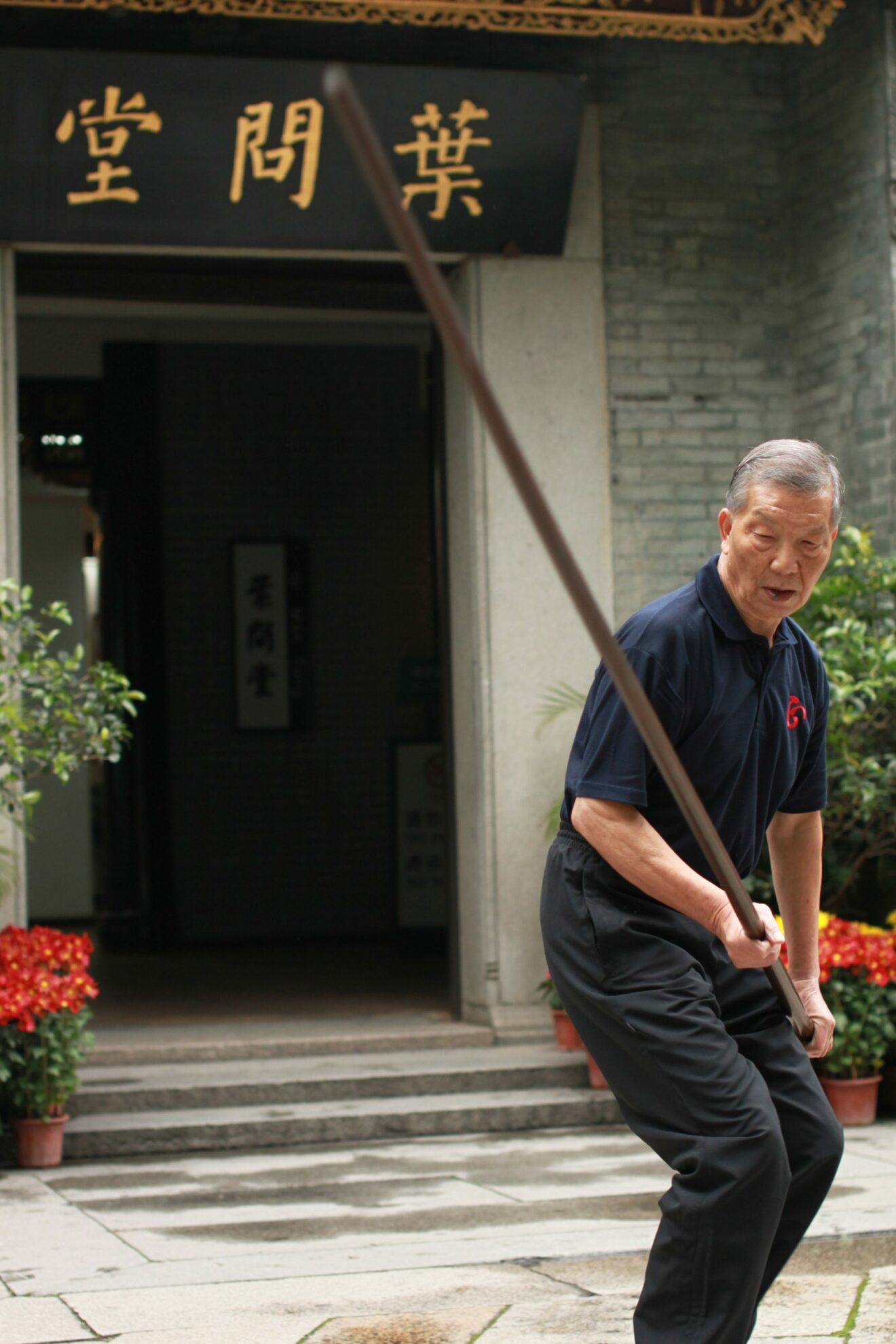 Ip Ching Pole -2