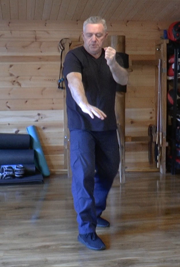 Read more about the article Walking Square Drill Little Dragons